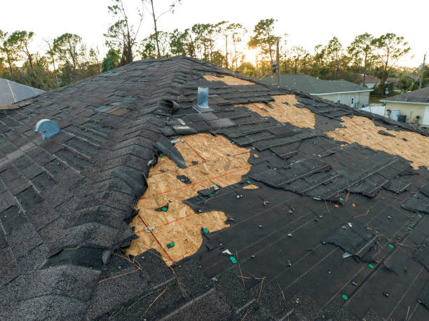 Best Asphalt Shingles Roofing  in North Madison, OH