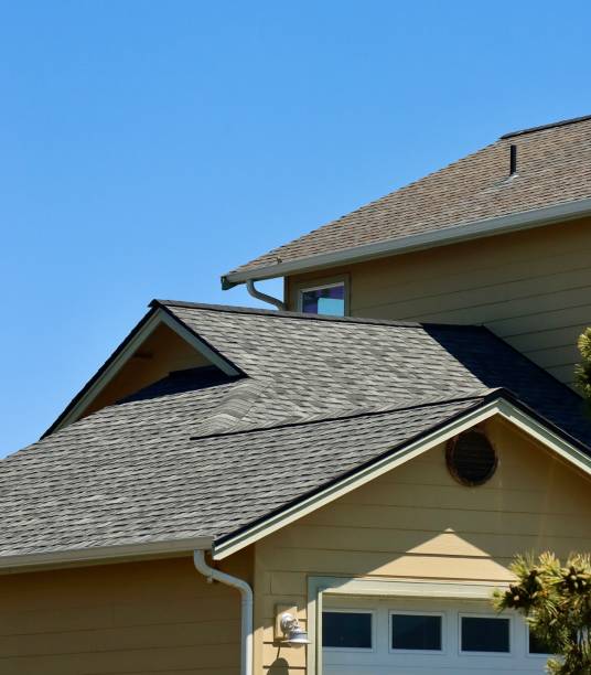 Best Roof Moss and Algae Removal  in North Madison, OH